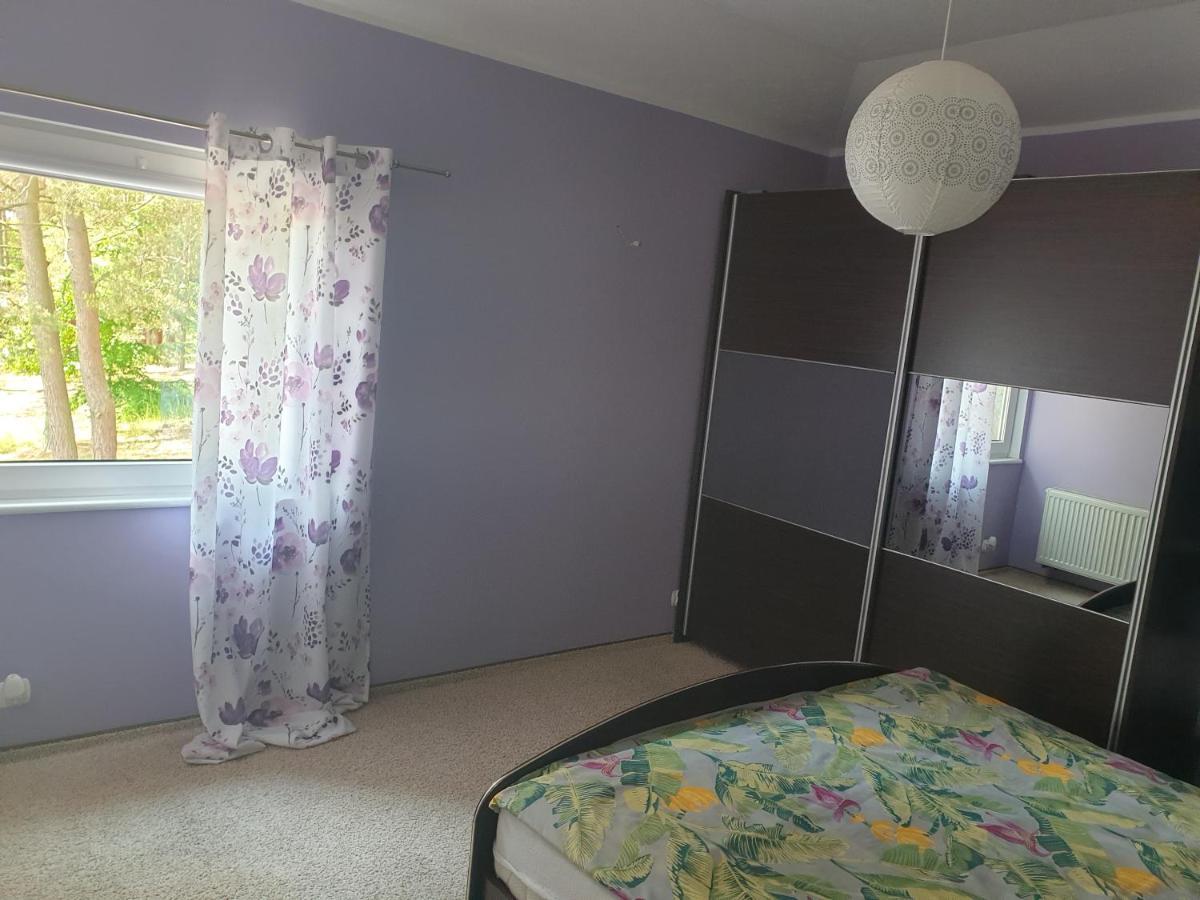 Apartament Pod Sosnami 1 Noclegi Otw Borowno Wlk Skarszewy Dış mekan fotoğraf
